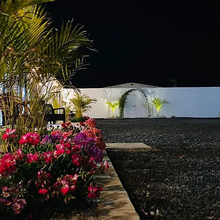 Palmerita Farm-tambor *