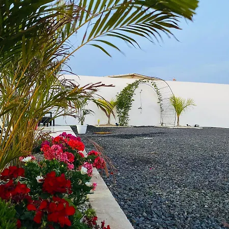 Palmerita Farm-tambor Holiday home Arona (Tenerife)